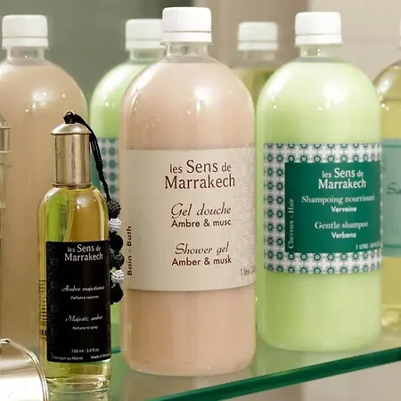 Appartamento Barberini *